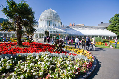 Botanic Garden con i suoi giradini e il Tropical Ravine da visitare gratuitamente